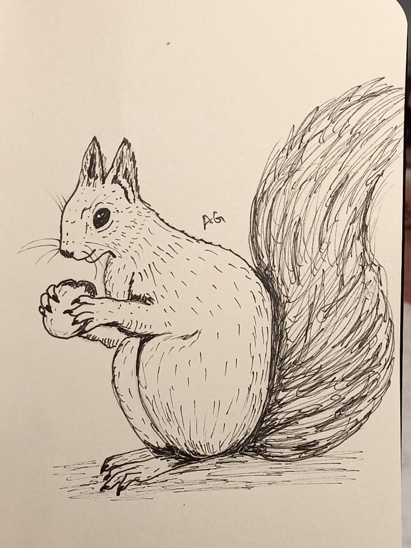 squirrel by Anubsi (Markers)