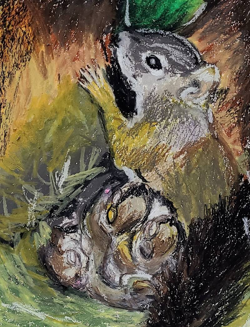 squirrel by interior_painter_me (Oil pastel)