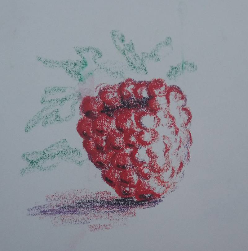 raspberry by SiMa (Oil pastel)