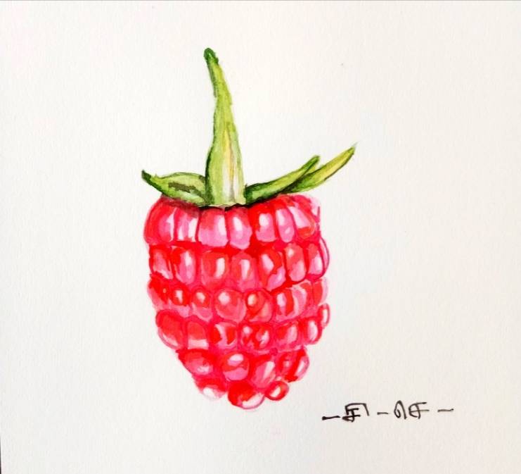 raspberry by infoguru (Watercolor)