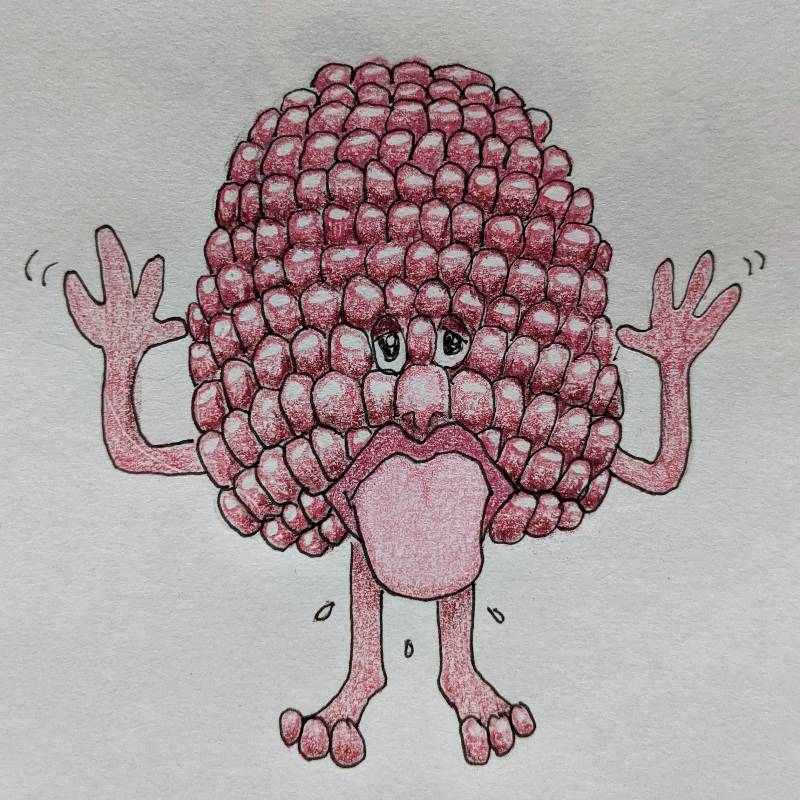 raspberry by Babyknows (Pen, Colored pencil)