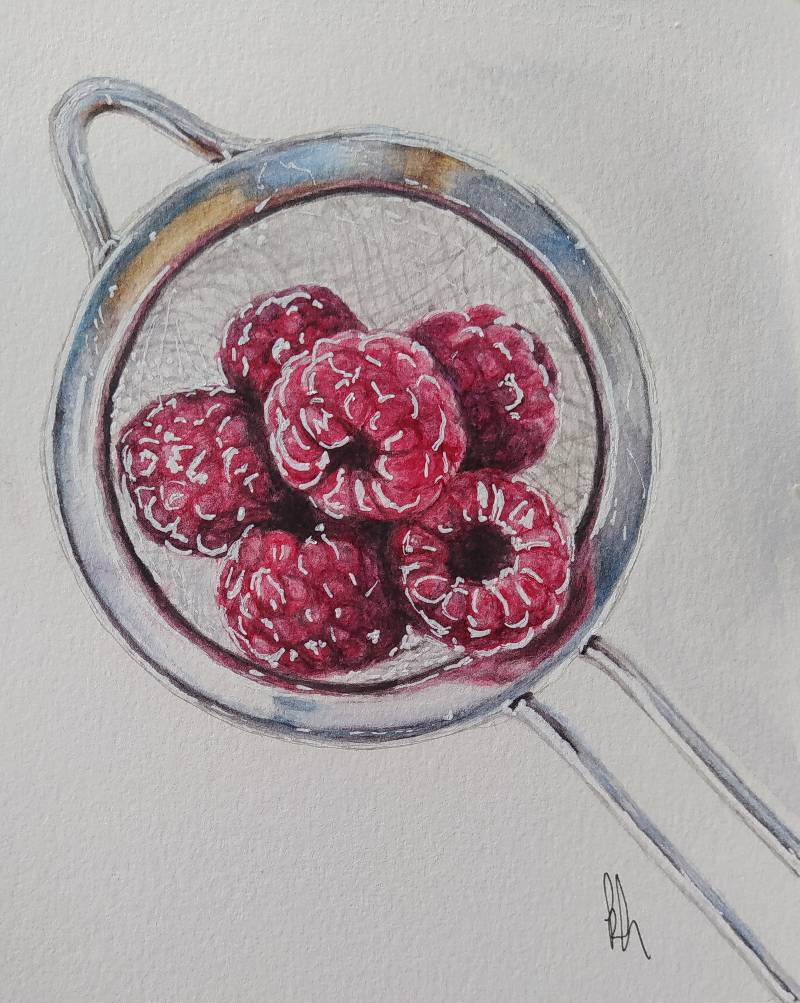 raspberry by kiwy (Watercolor, Pen)