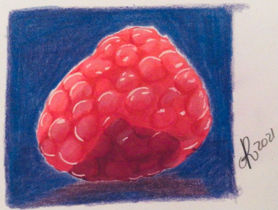raspberry by Niomix (Colored pencil, Markers, Ink)