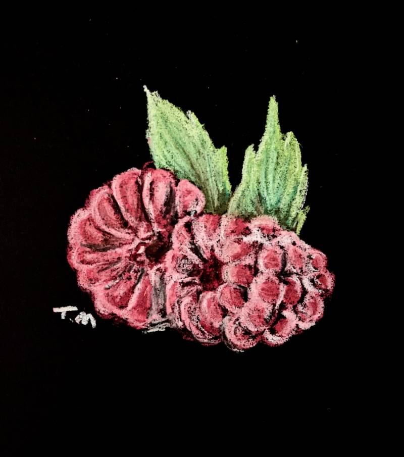 raspberry by Tristan_M (Pencil, Colored pencil, Soft pastel)