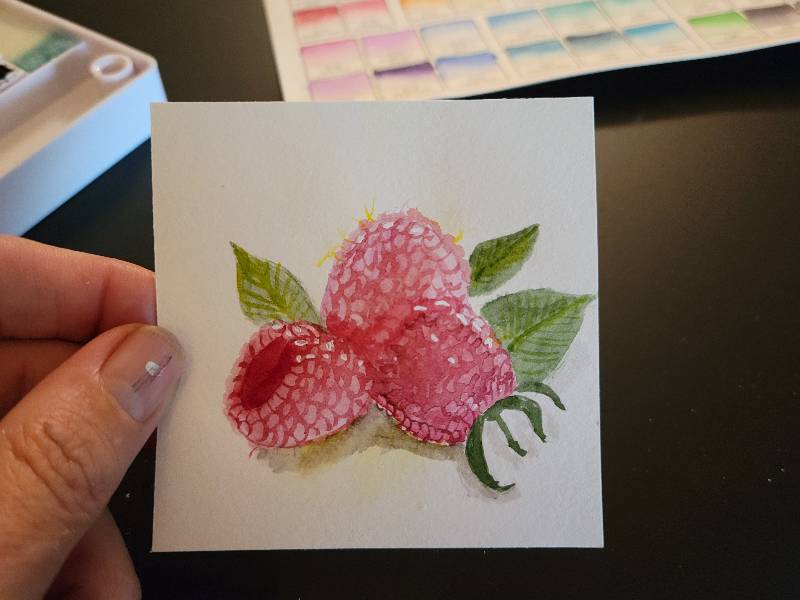 raspberry by sammie2toes (Watercolor, Pencil)
