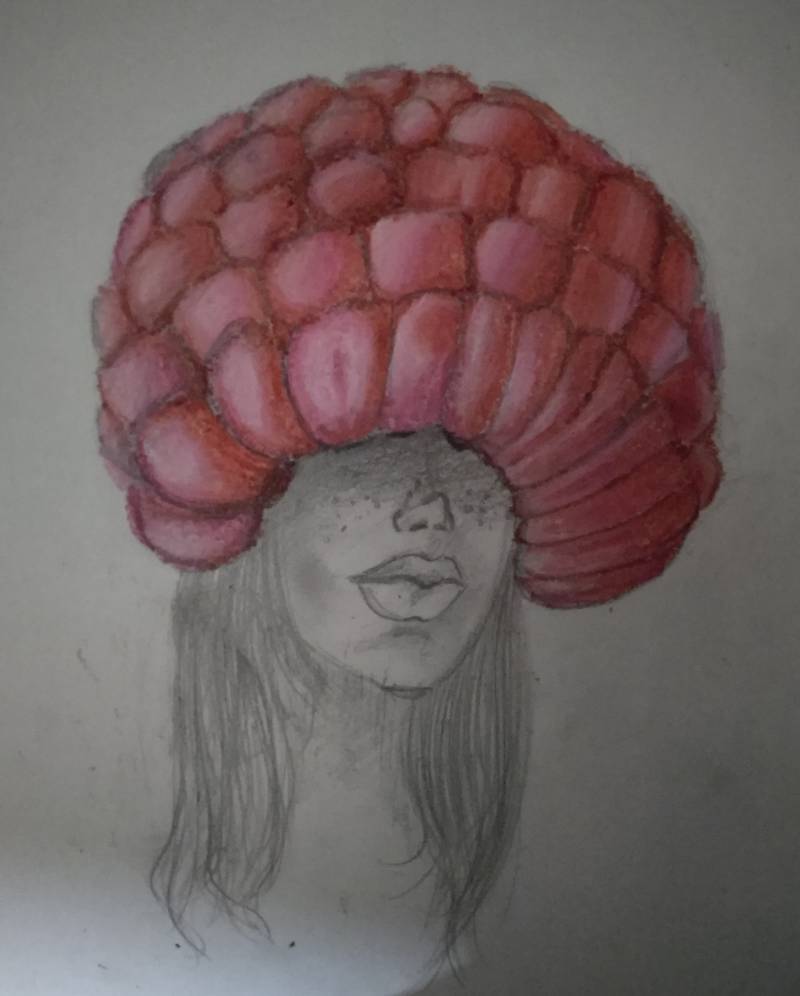 raspberry by funkyfox (Pencil, Colored pencil, Oil pastel)
