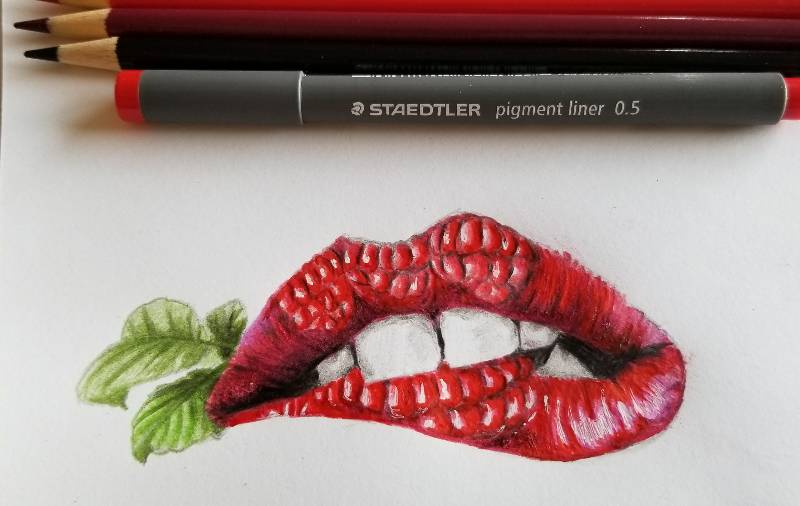 raspberry by Grady_12 (Pen, Ink, Colored pencil)