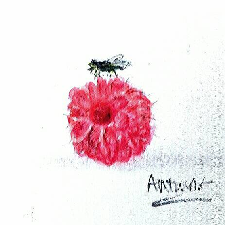raspberry by Arthur (Colored pencil)