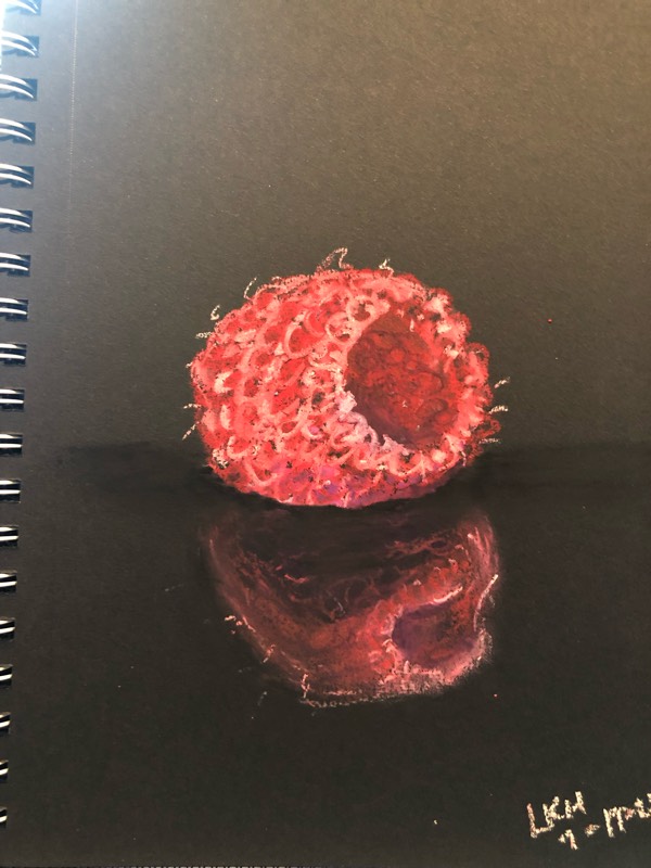 raspberry by LoriK (Oil pastel)