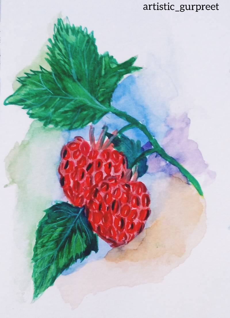 raspberry by artistic_gurpreet (Watercolor)