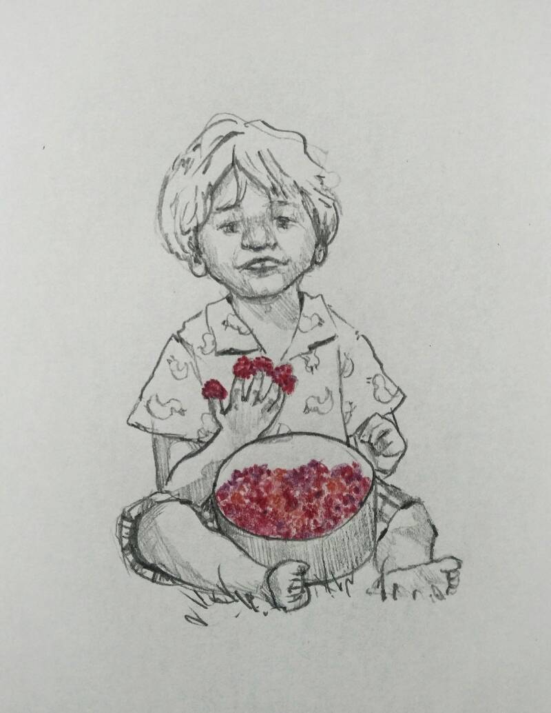 raspberry by Jesss (Pencil, Colored pencil)