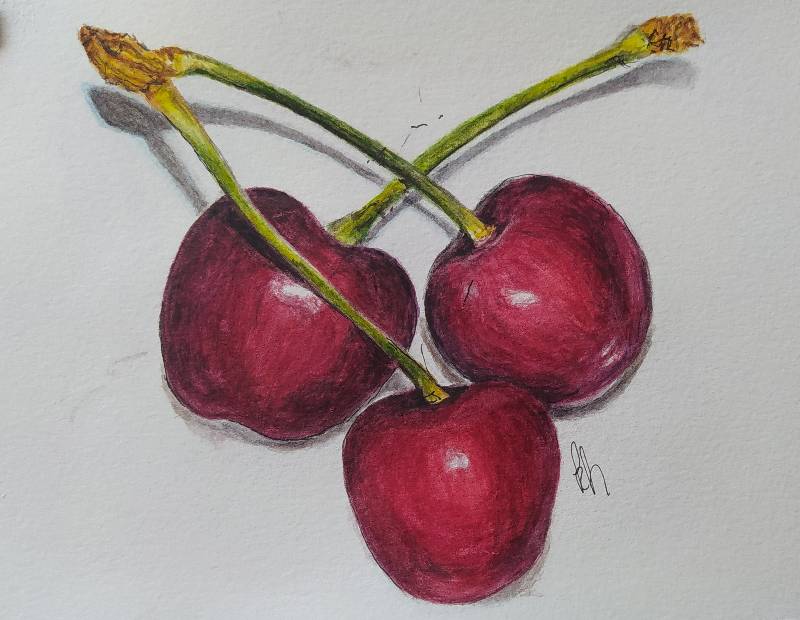 cherry by kiwy (Watercolor, Pen)