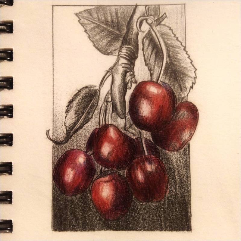 cherry by Johnny_ (Pencil, Pen, Colored pencil)