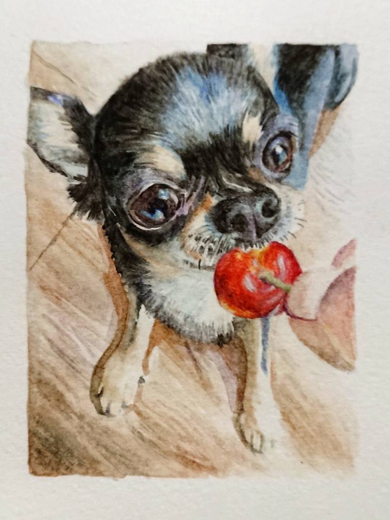 cherry by meidraws (Watercolor)