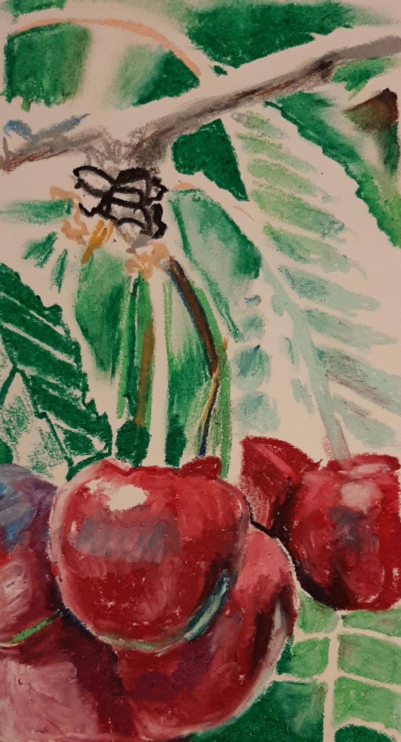 cherry by Dave_Coleman (Oil pastel)