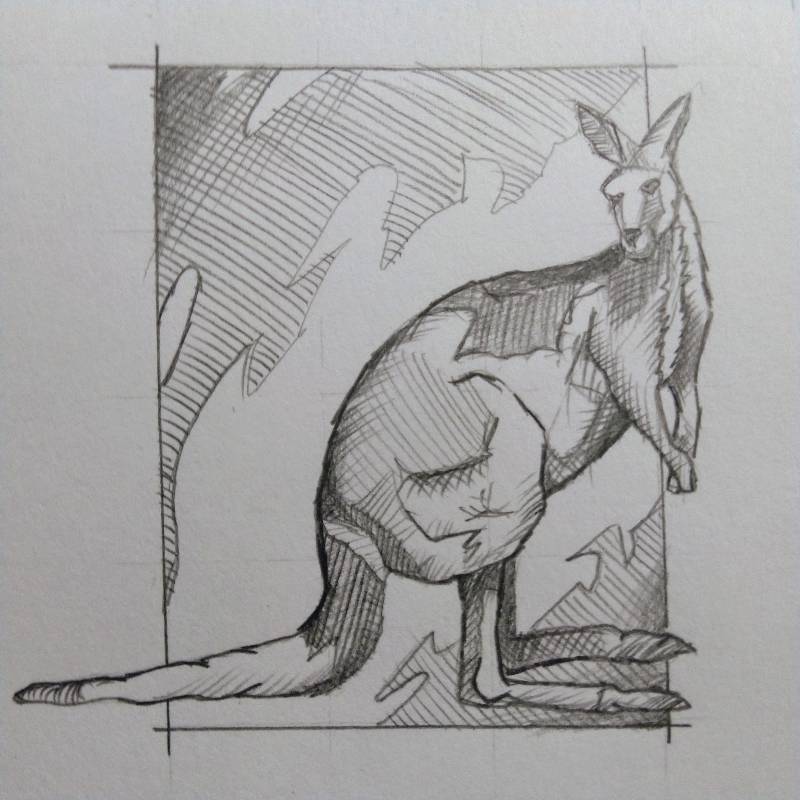 kangaroo by Johnny_ (Pencil)