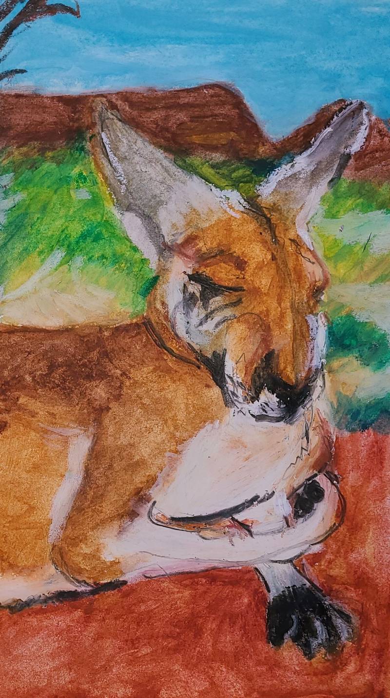 kangaroo by interior_painter_me (Watercolor, Colored pencil, Oil pastel)