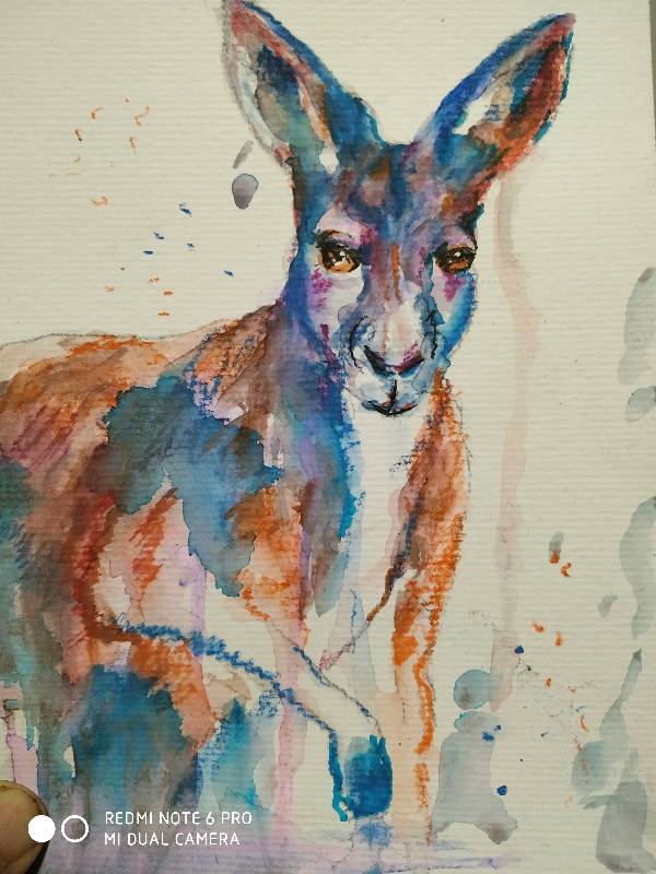kangaroo by joseunico (Watercolor)