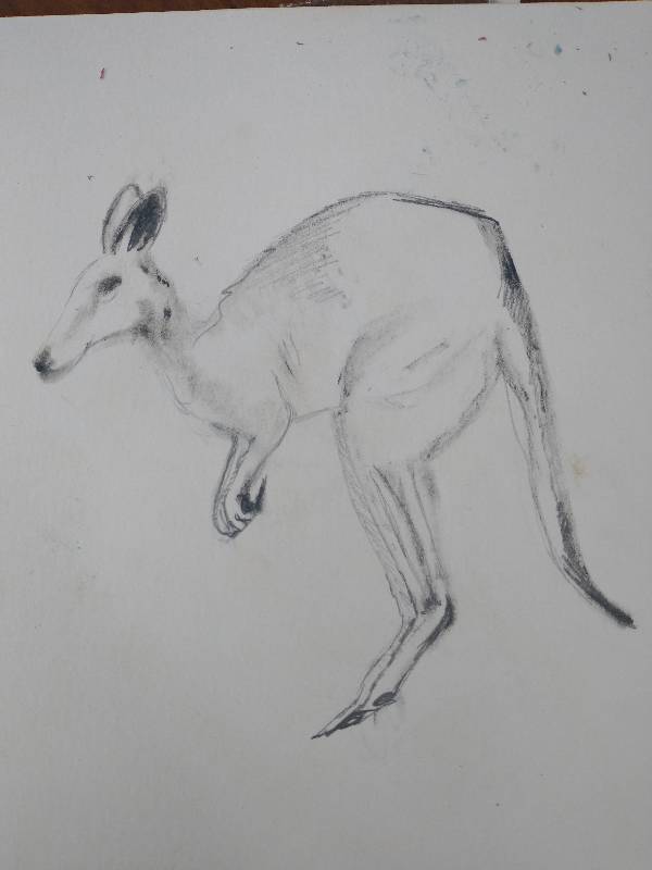 kangaroo by MrsWLCB (Pencil, Oil pastel)