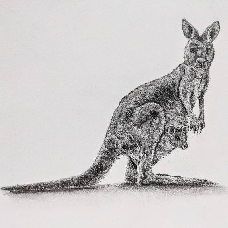 kangaroo by Elan28 (Pencil)
