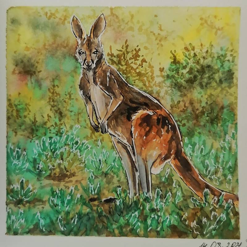 kangaroo by Lucifel (Watercolor, Ink)