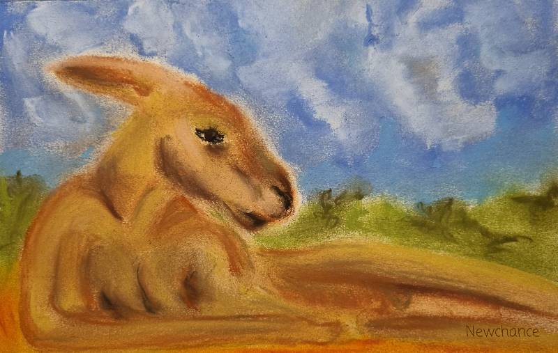 kangaroo by Newchance (Soft pastel)