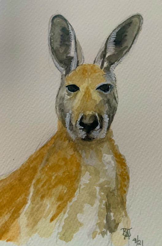 kangaroo by fairlawnbj (Watercolor, Pen)