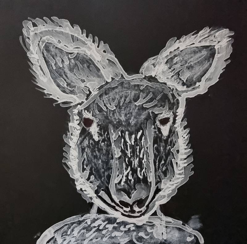 kangaroo by originalcrispy (Colored pencil, Oil pastel, Other)