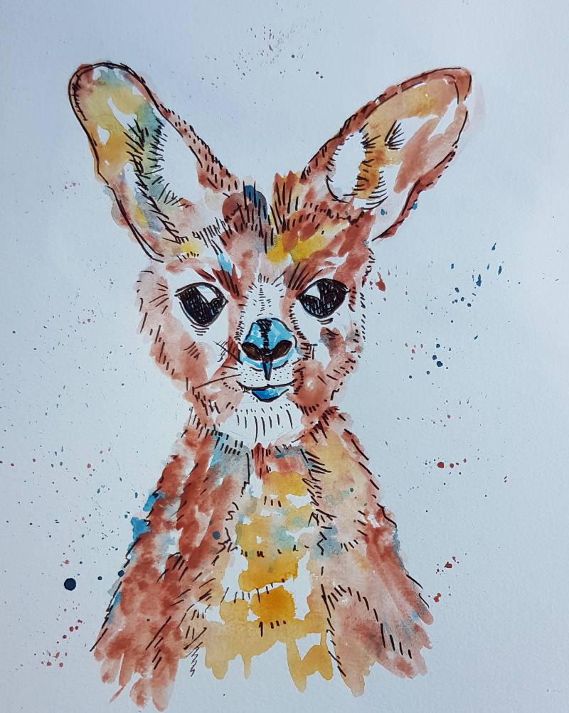kangaroo by Laubfrosch (Watercolor, Pen)