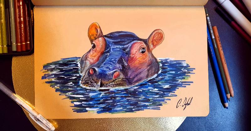 hippo by Caner (Markers, Colored pencil)