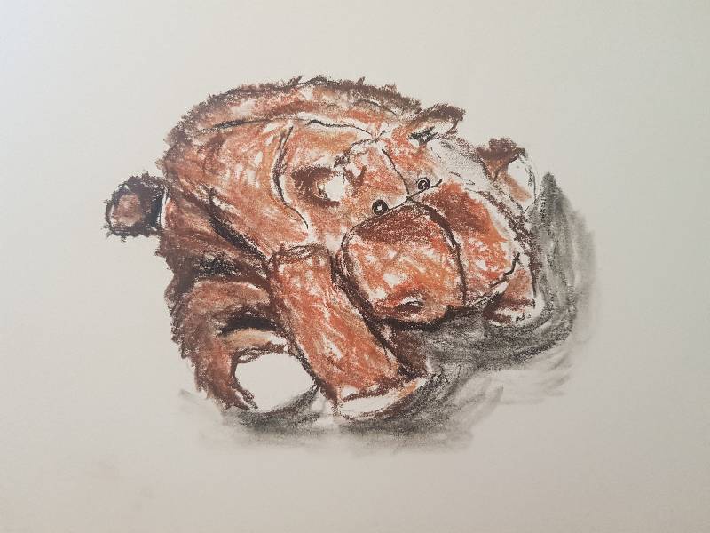 hippo by poppygatapetal (Soft pastel)