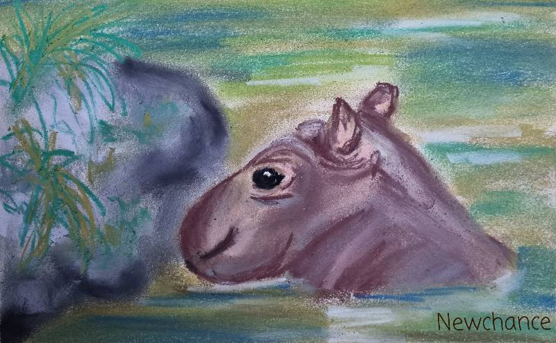 hippo by Newchance (Soft pastel)