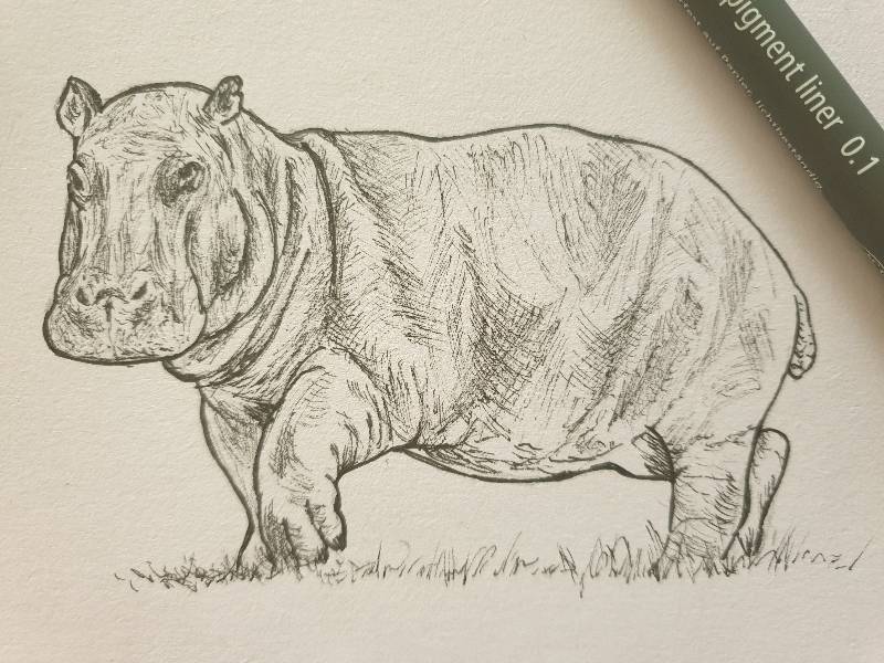 hippo by Magae (Ink)