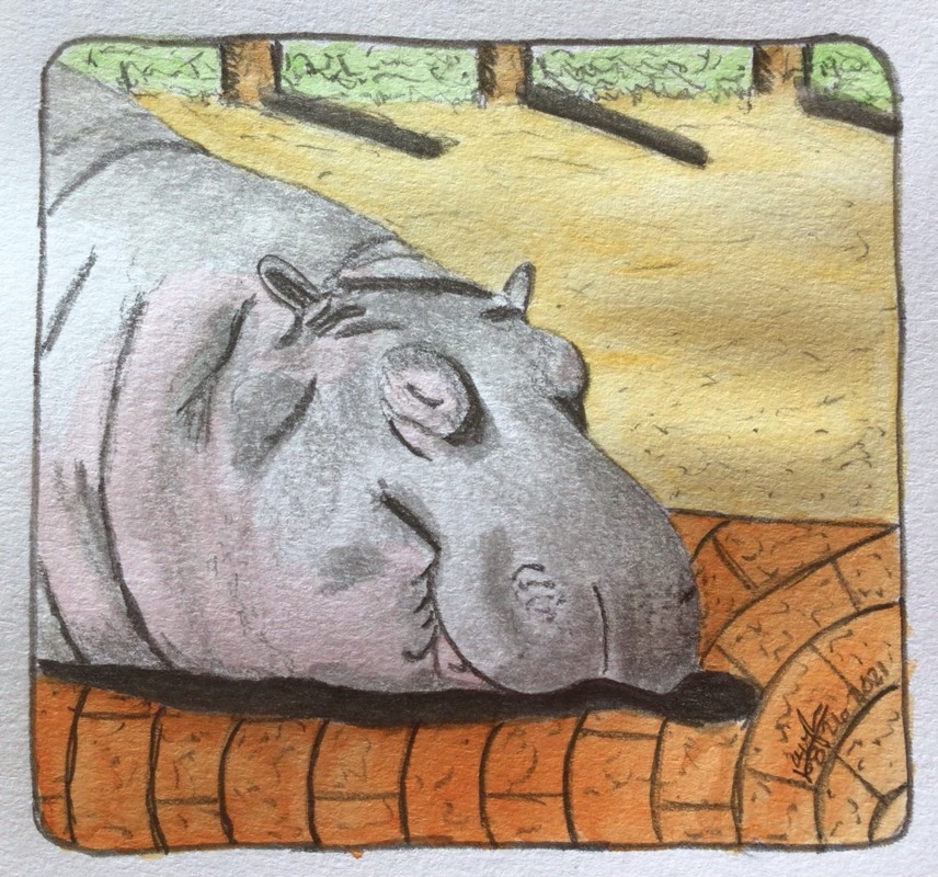 hippo by jaiylee (Watercolor, Pencil)