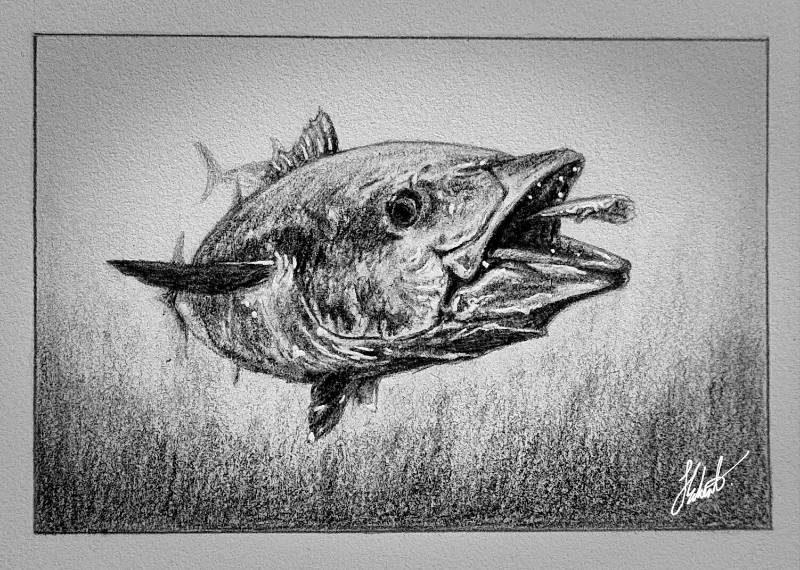 tuna by Jesseeker44 (Pencil, Ink)