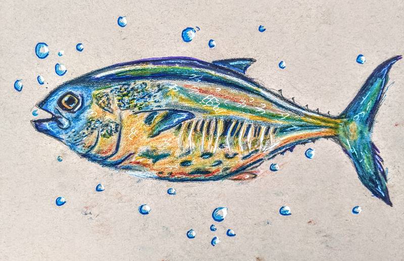 tuna by Sandy13 (Pencil, Markers, Colored pencil, Pen, Other)