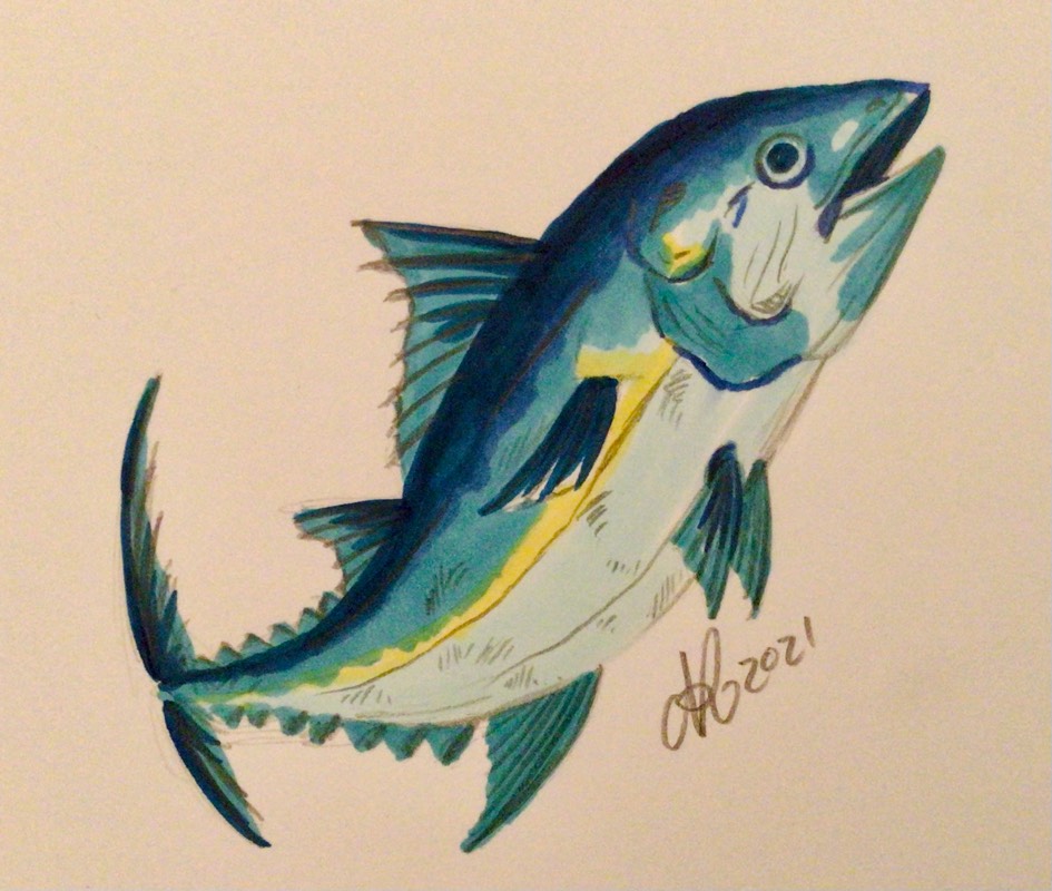 tuna by Niomix (Markers, Pencil)