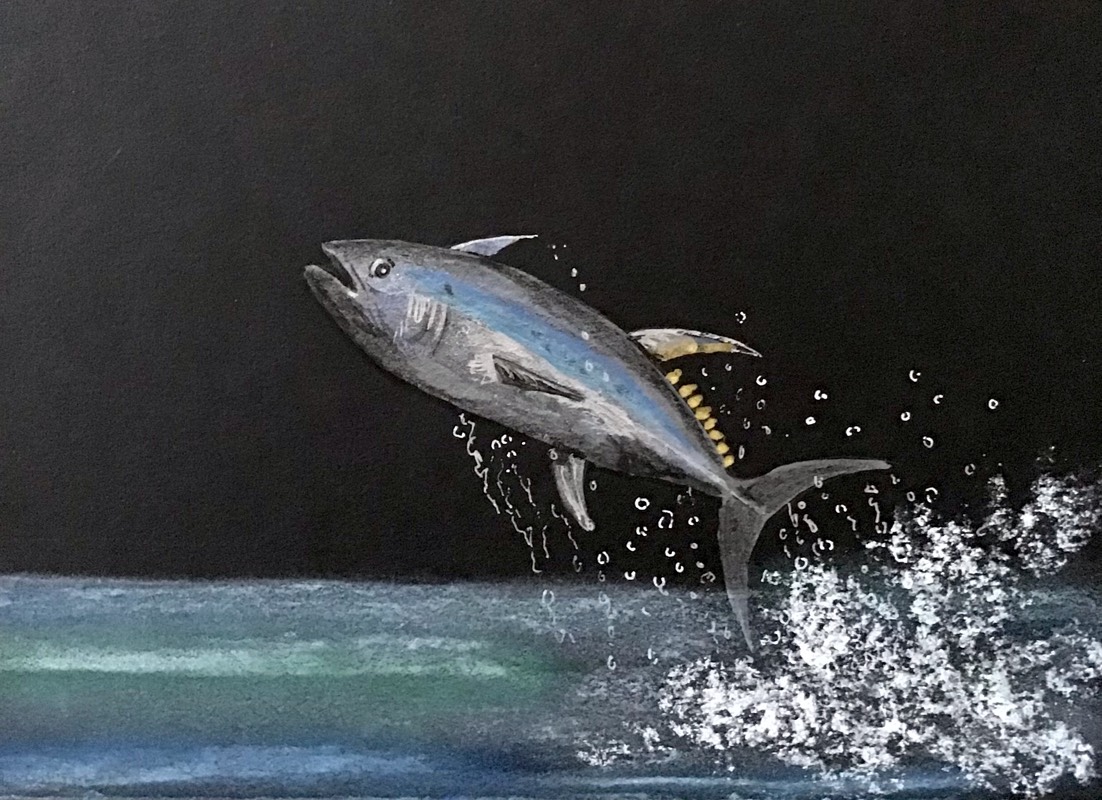 tuna by Sally (Watercolor, Soft pastel)