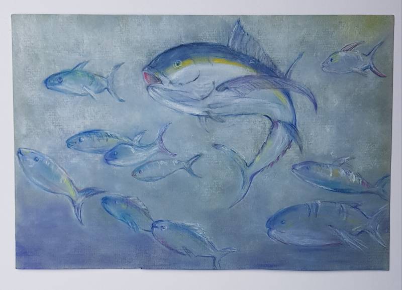 tuna by bluecloud (Soft pastel)