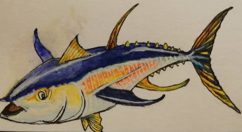 tuna by SayoCaro1 (Ink, Watercolor)