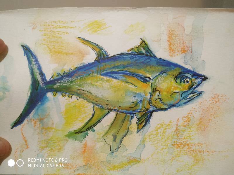 tuna by joseunico (Ink, Soft pastel)