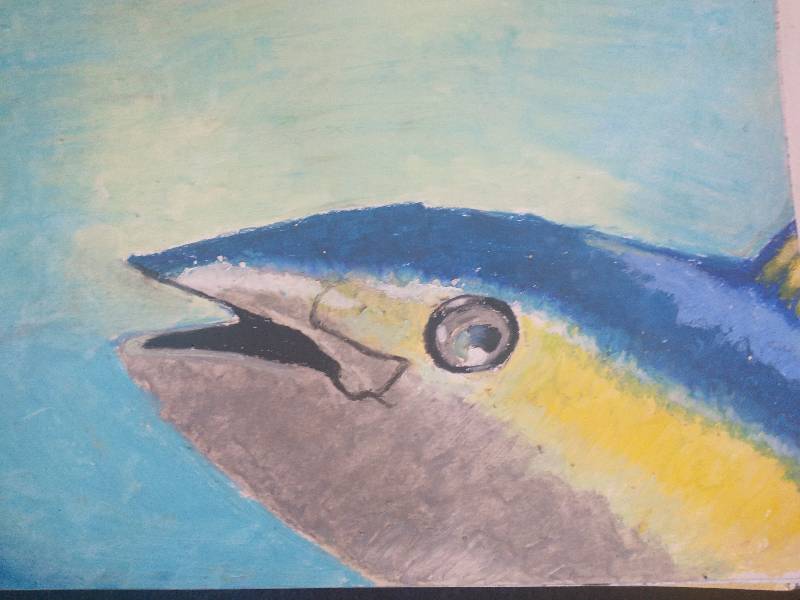 tuna by MrsWLCB (Oil pastel)