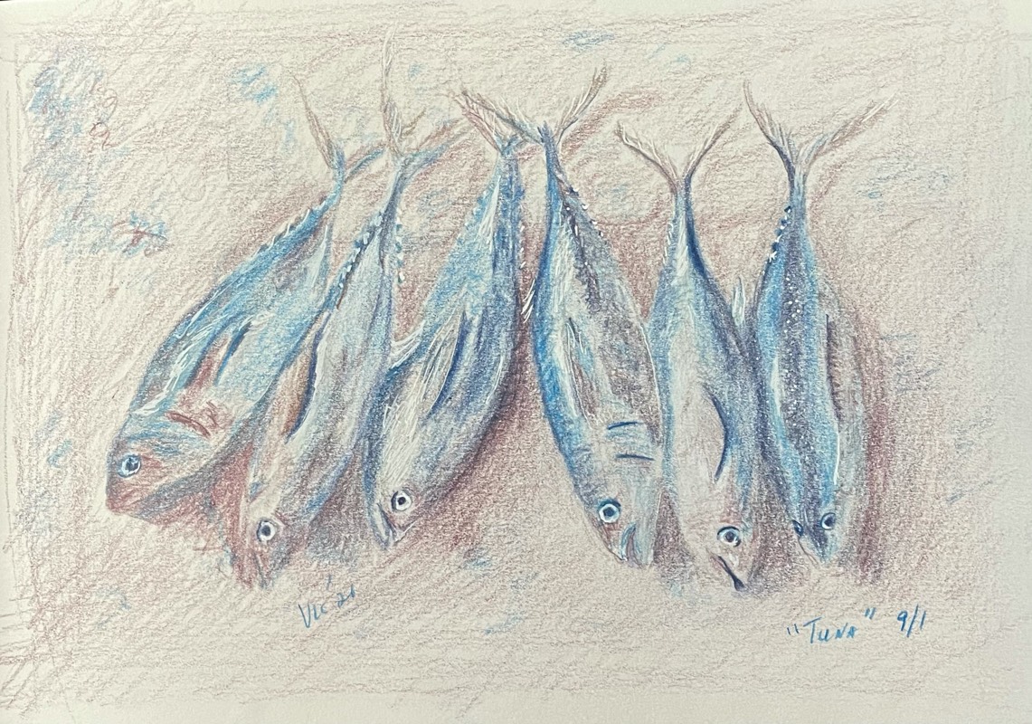 tuna by Songli5 (Charcoal, Colored pencil, Ink)