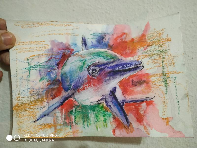 dolphin by joseunico (Ink, Watercolor, Soft pastel)
