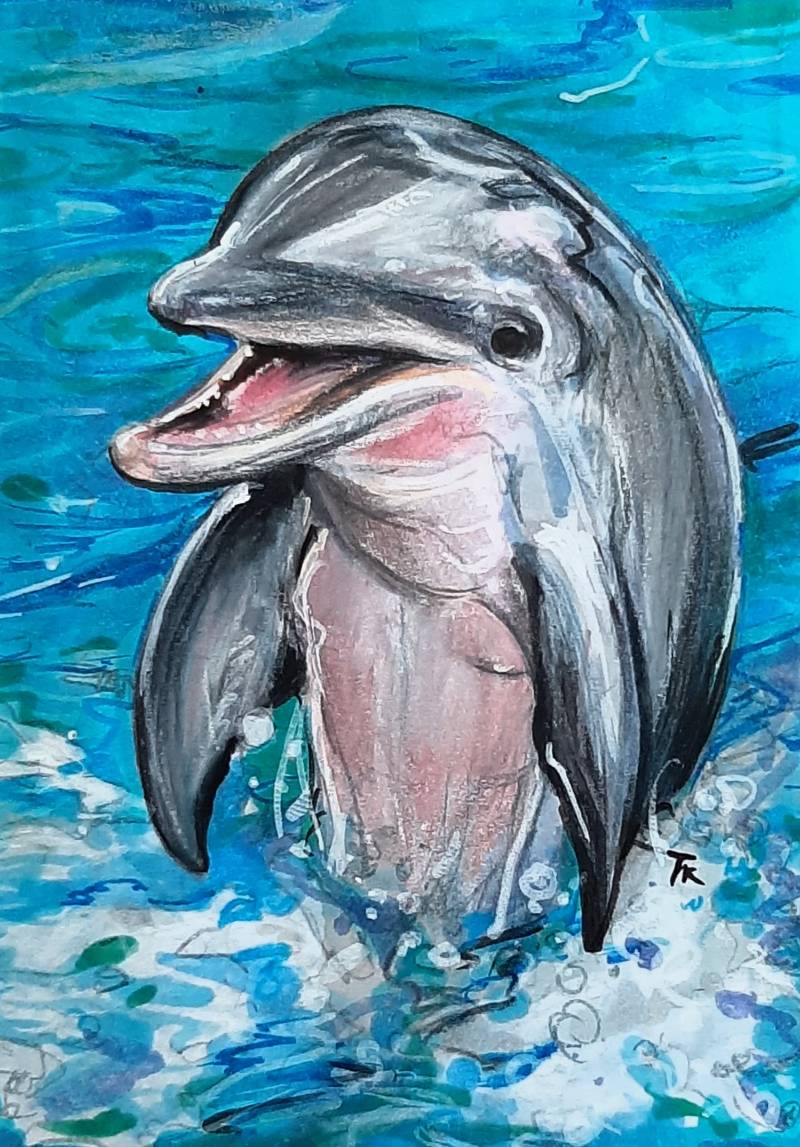 dolphin by tamileexyz (Pen, Markers, Colored pencil)
