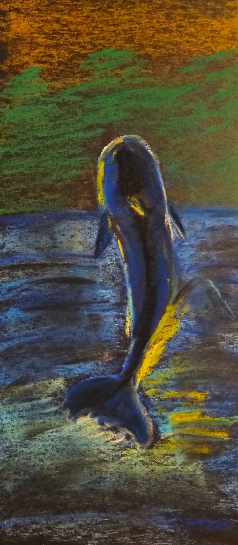 dolphin by tardes (Soft pastel)