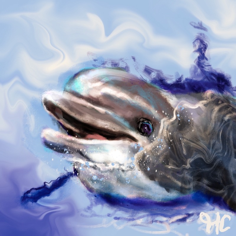 dolphin by TheHunterCow (Digital)