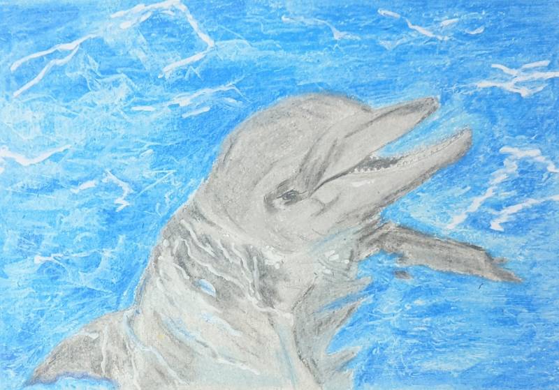 dolphin by arun7t (Oil pastel, Pencil)