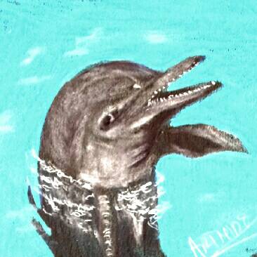 dolphin by Arthur (Colored pencil)