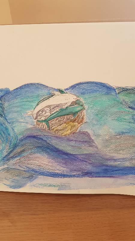 dolphin by Nancat (Pencil, Colored pencil, Acrylic paint, Oil pastel, Other)